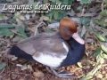 Click para ver en tamaño completo